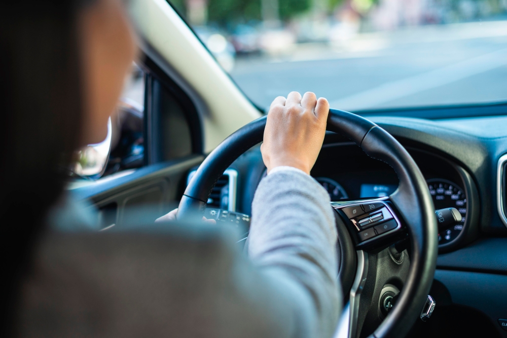 Driving School in Macquarie Fields